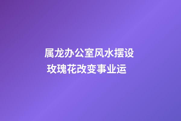 属龙办公室风水摆设  玫瑰花改变事业运